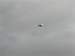 PICT1259.JPG